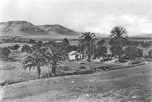 Exterior view of the Mission San Diego Alcala, showing palms and an olive orchard, ca.1900