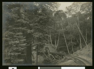 Mount Tamalpais railroad track crossing of Sequoia Canyon, ca.1910