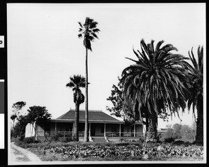 Exterior view of the Guiterrez adobe west of San Pablo in Contra Costa county, ca.1937