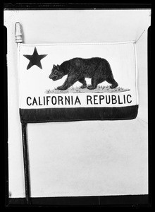 California state flag on a flagpole