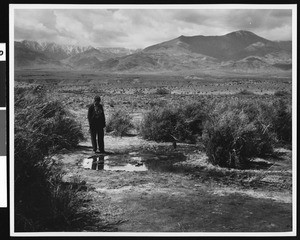 Woman at Tule Springs and the west range of Panamint Mountains, Death Valley, ca.1900-1950