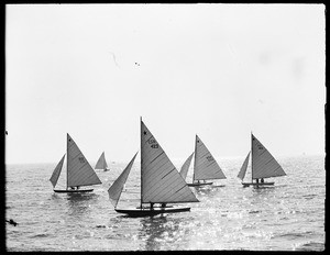 Five sailboats with numbered sails on the ocean