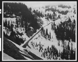 Road to Mount Rainier (Washington?), 1940-1950