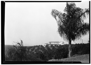 View of an unidentified ranch home in the San Gabriel Valley, in November 1937