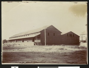 Drake Orange packing house in Lindsay, 1900-1940