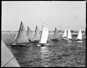 People sailing a group of yachts towards the right