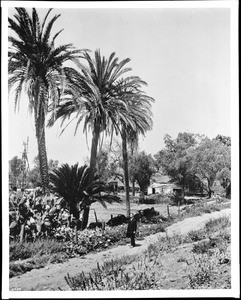 Charles Puck on the road at the Mission San Diego Alcala, 1930