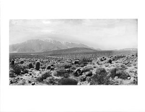 Mount San Jacinto, seen from the Devil's Playground in Palm Springs, ca.1900