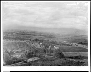 Birdseye view of the Pomona Valley taken from Pomona Heights, ca.1885