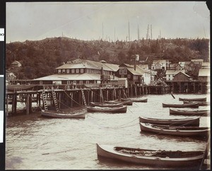 A view of a salmon cannery in Astoria, Oregon