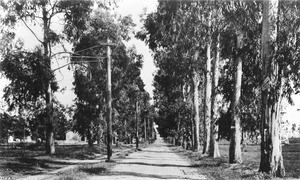 View of Santa Monica Boulevard looking east from Beachwood Drive, Hollywood, ca.1900