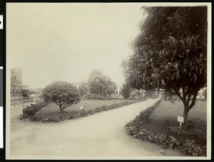 Park scene in Watsonville, ca.1900