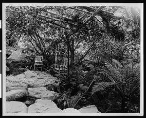 California Botanic Gardens, showing wooden chairs beneath awning of branches