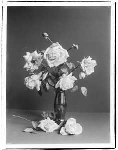 Close-up of roses in a vase