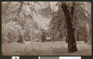 Winter snow in Yosemite National Park, ca.1900