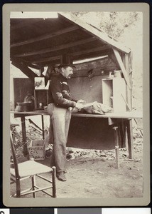 A fishing club member preparing to cut a pig, ca.1910-1920