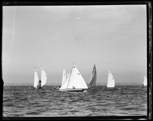 Several sailboats clustered together on the ocean in Long Beach