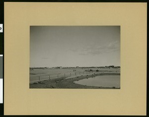 Panoramic view of Holtville, ca.1910