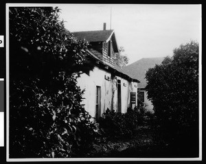 Exterior view of the Miguel Parra adobe seen through bushes, San Juan Capistrano, 1939