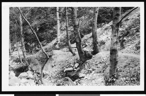 A hiking trail in the mountains, ca.1930