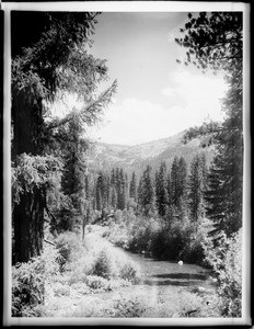 South fork of the Merced River (Chil-noo-al-ne Falls), Wawona, on the road to Yosemite Valley in Yosemite National Park, 1900-1902