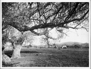 Distant general view of Mission San Antonio de Padua, California, ca.1906