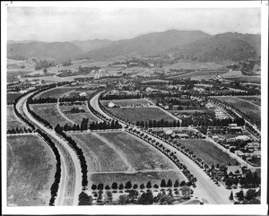 Aerial view of Beverly Hills, showing Beverly Drive, ca.1918