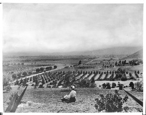 Panoramic view of Hollywood looking west from Laughlin Park, 1905