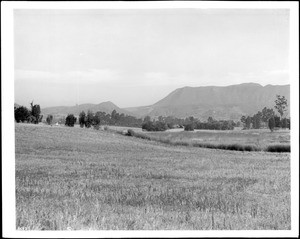 Panoramic view of Cahuenga Pass, looking north from Melrose, Hollywood, ca.1915