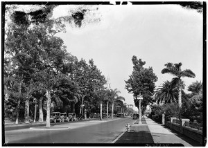 View of Adams Boulevard, near Figueroa Street