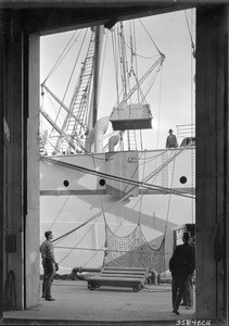 Workers unloading Hawaiian pineapples from the freighter Manolo at Los Angeles Harbor, March 5, 1931