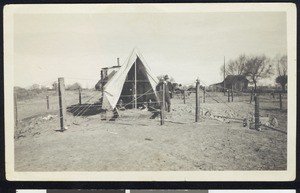 Man standing outside a tent in the Right of Way War at King's River, ca.1910