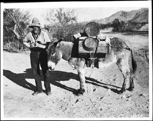 Portrait of a desert prospector and his burro, ca.1920