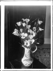 Close-up of a bouquet of mariposa lilies in a decorative opaque glass pitcher sitting on a table indoors, ca.1920