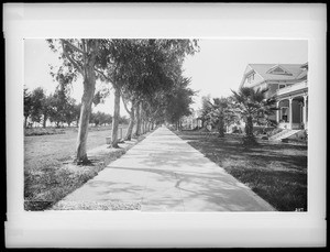 Ocean Avenue in Santa Monica looking north, ca.1890