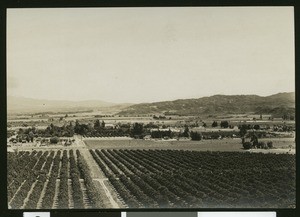 Panoramic view of Riverside orchards, ca.1900