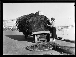 Woman loading fishing nets onto the back of a small cart, 1936