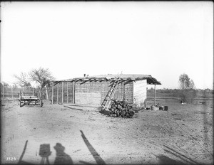 Mojave Indian house under construction, Parker, Arizona, ca.1900