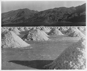 Salt stacks drying, California, ca.1910