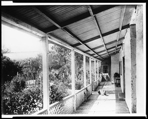 Dog on the porch at Guajome Ranch in San Diego, ca.1900