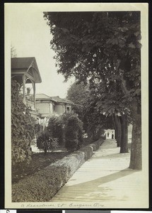 Residential street in Eugene, Oregon