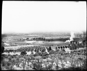 Panoramic view of the Sierra Madre Ranch (fruit ranch) in the city of Monrovia, taken from Sierra Madre Heights, 1902