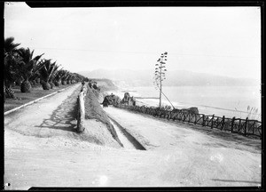 Dirt road leading to the top of the cliffs at Palisades Park in Santa Monica, ca.1910