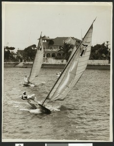 Sailboats on the ocean, showing riders severely tilting their bodies, ca.1930