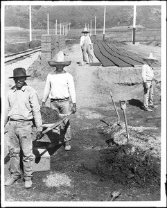 Mexican Americans workmen pausing for the camera as they make adobe bricks at the Casa Verdugo, ca.1900-1920