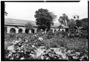 Exterior view of the San Juan Bautista Mission, showing a garden in the foreground, July, 1926