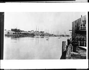 San Pedro Harbor from Terminal Island, ca.1896