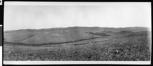 Recently-mowed hay field on a hillside behind Whittier, ca.1914