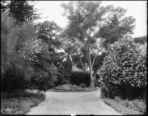 Residence and gardens of Caroline M. Severence, Los Angeles, ca.1898-1900
