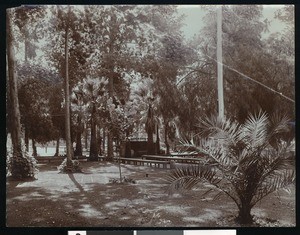 Public park at Santa Clara, California